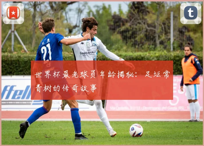 世界杯最老球员年龄揭秘:足坛常青树的传奇故事
