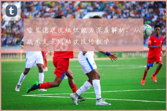 哈兰德进攻组织能力深度解析：从战术支点到助攻技巧教学